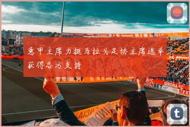 意甲主席力挺马拉戈足协主席选举获得各方支持